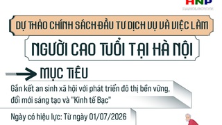 Dự thảo chính sách đầu tư dịch vụ và việc làm người cao tuổi tại Hà Nội