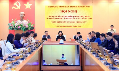 Tập huấn Nền tảng điều hành tập trung của Đoàn đại biểu Quốc hội và HĐND các cấp