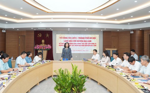 Hanoi deputy chairwoman works with Gia Lam District on commune-level administrative reorganization