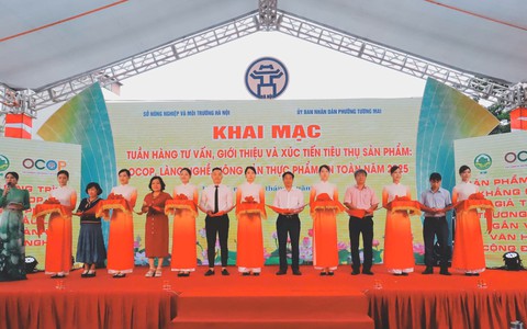 Nhiều hoạt động xúc tiến thương mại, giới thiệu sản phẩm OCOP, nông sản và sản phẩm làng nghề