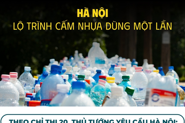 Hà Nội hướng đến loại bỏ hoàn toàn sản phẩm nhựa dùng một lần