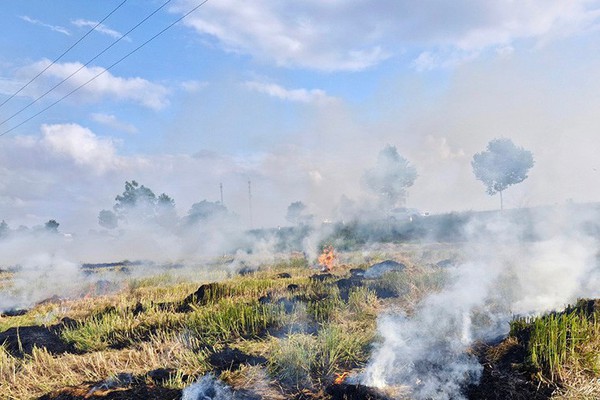Triển khai quyết liệt các biện pháp nhằm chấm dứt tình trạng đốt rơm rạ