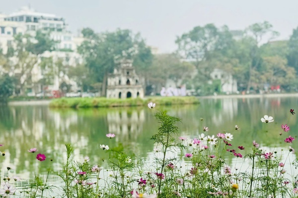 Tăng cường bảo đảm trật tự đô thị, vệ sinh môi trường, trang trí nghệ thuật tại các không gian công cộng và vườn hoa